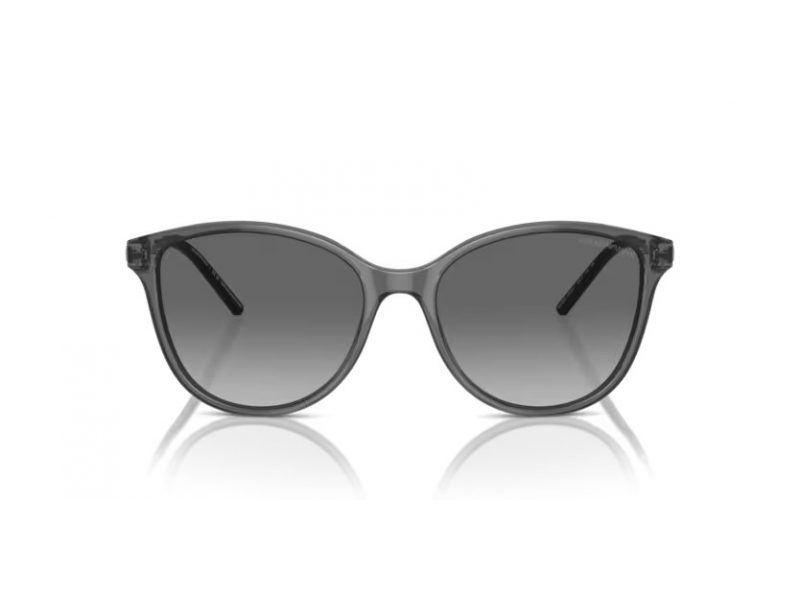 Emporio Armani Sunčane Naočale EA 4220 610611