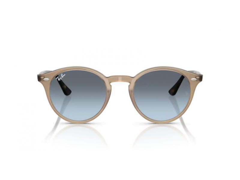 Ray-Ban Sunčane Naočale RB 2180 6788V1