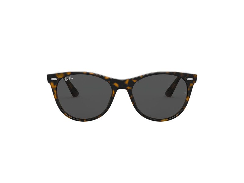 Ray-Ban Wayfarer Ii Sunčane Naočale RB 2185 1292/B1