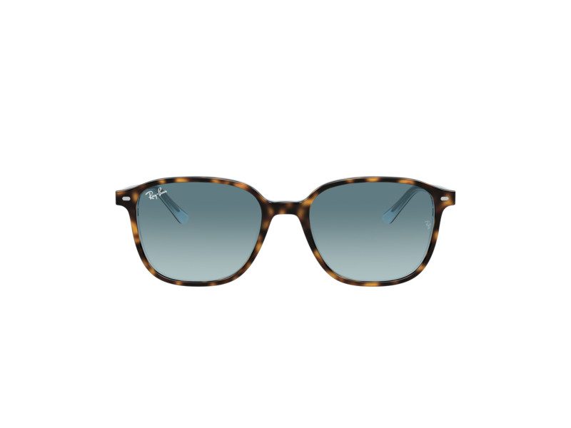 Ray-Ban Leonard Sunčane Naočale RB 2193 1316/3M