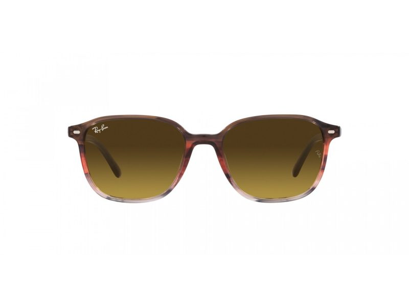 Ray-Ban Leonard Sunčane Naočale RB 2193 138085