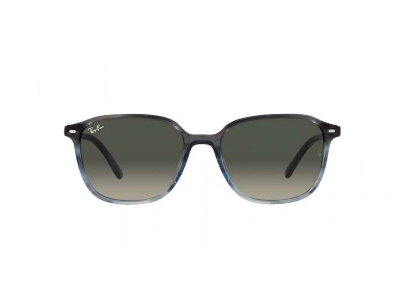 Ray-Ban Leonard Sunčane Naočale RB 2193 138171