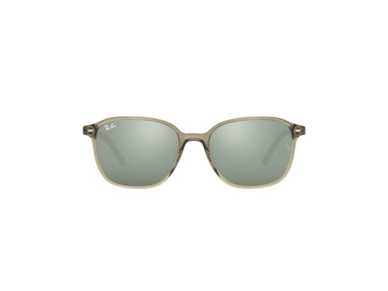 Ray-Ban Leonard Sunčane Naočale RB 2193 6635/5C