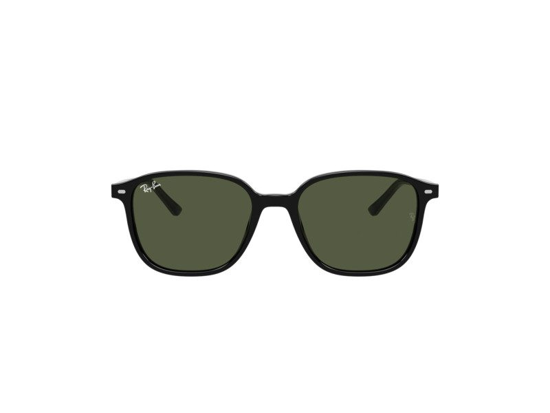 Ray-Ban Leonard Sunčane Naočale RB 2193 901/31