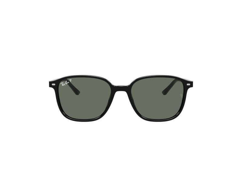 Ray-Ban Leonard Sunčane Naočale RB 2193 901/58