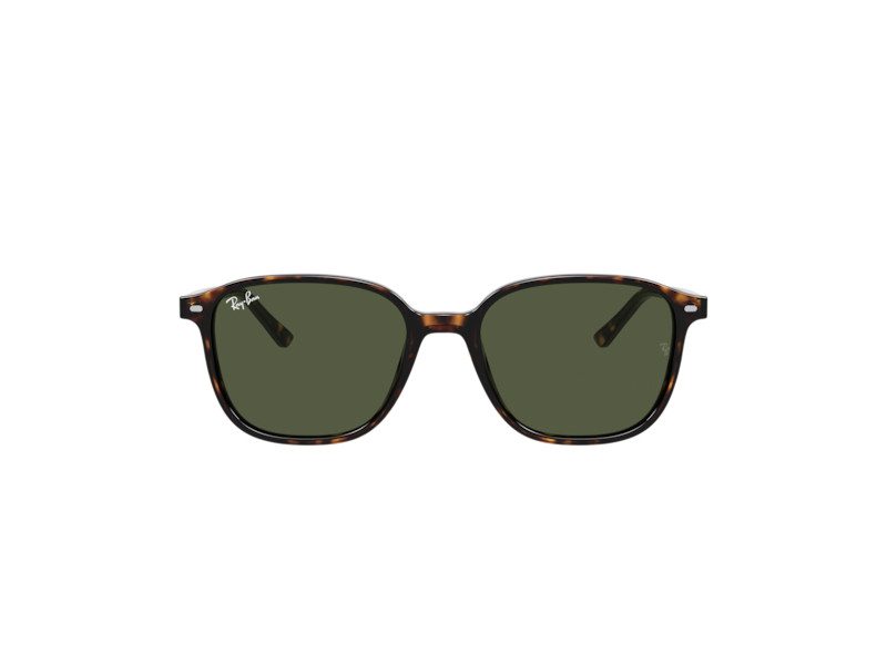 Ray-Ban Leonard Sunčane Naočale RB 2193 902/31