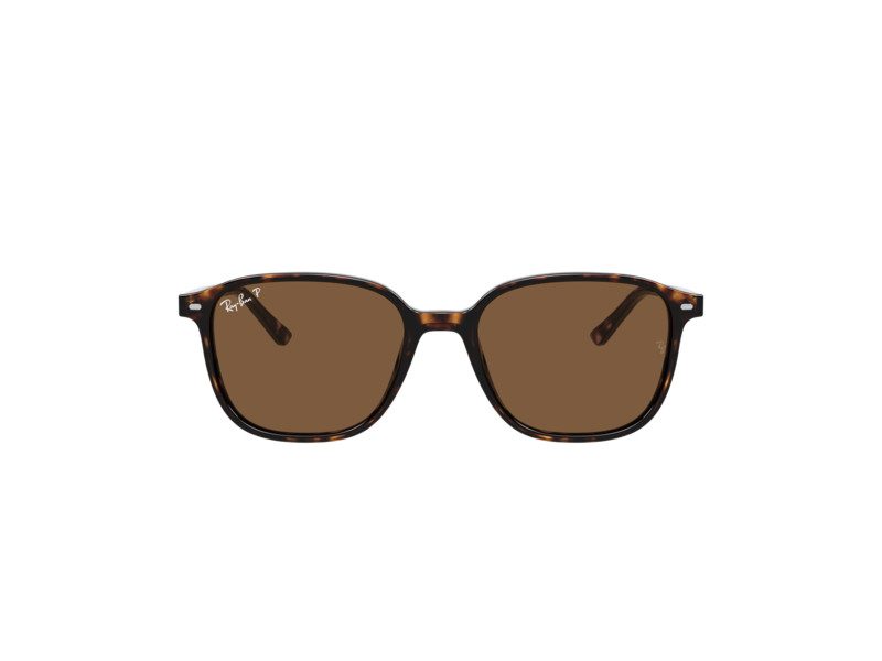 Ray-Ban Leonard Sunčane Naočale RB 2193 902/57