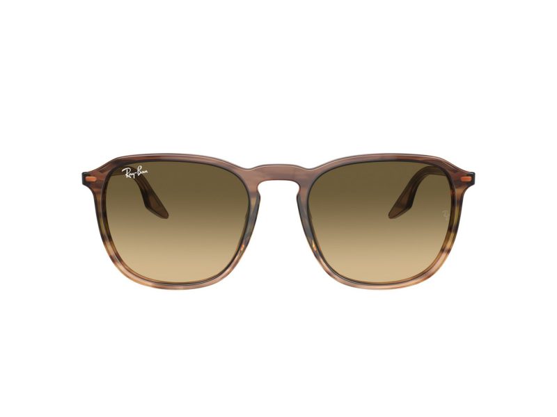 Ray-Ban Sunčane Naočale RB 0RB2203 13920A