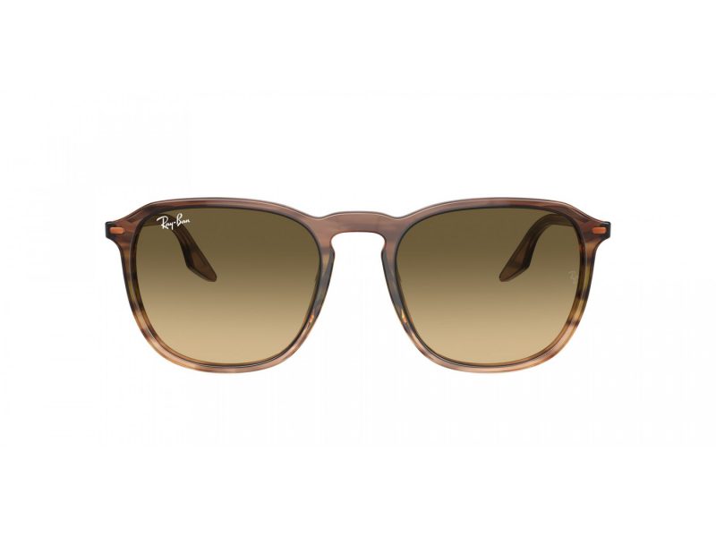 Ray-Ban Sunčane Naočale RB 2203 13920A