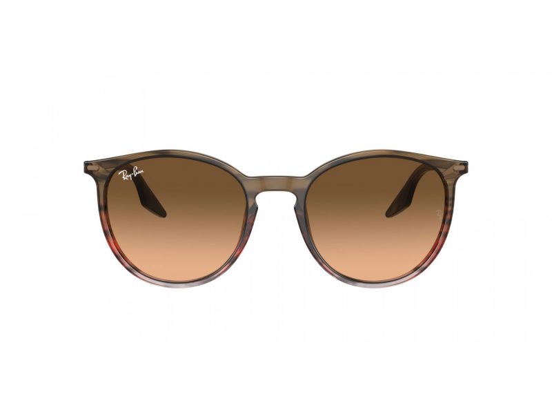 Ray-Ban Sunčane Naočale RB 2204 13953B