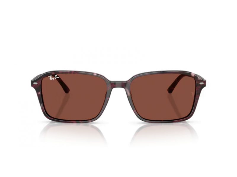 Ray-Ban Raimond Sunčane Naočale RB 2231 1416C5