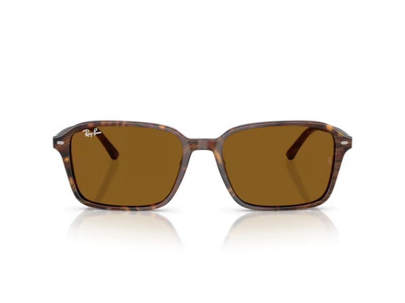 Ray-Ban Raimond Sunčane Naočale RB 2231 141833