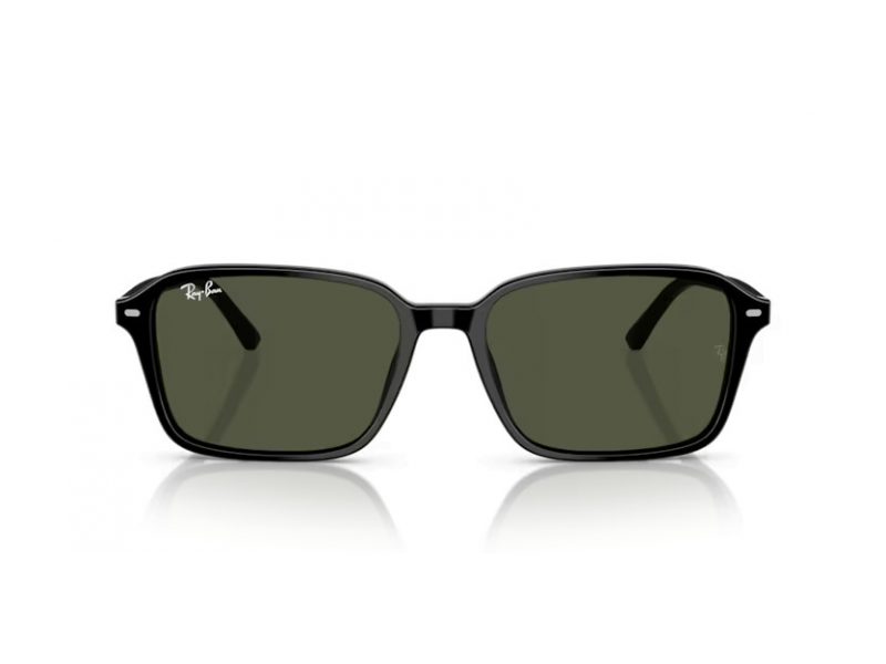 Ray-Ban Raimond Sunčane Naočale RB 2231 901/31