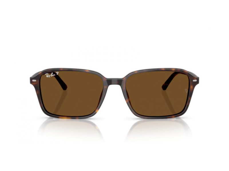 Ray-Ban Raimond Sunčane Naočale RB 2231 902/57