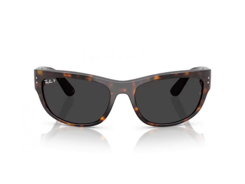 Ray-Ban Mega Balorama Sunčane Naočale RB 2289 902/48