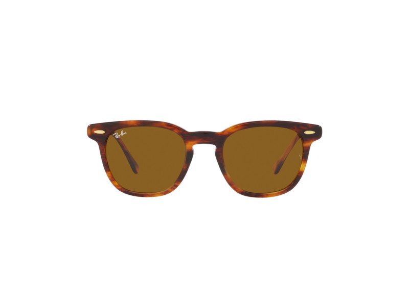 Ray-Ban Hawkeye Sunčane Naočale RB 2298 954/33