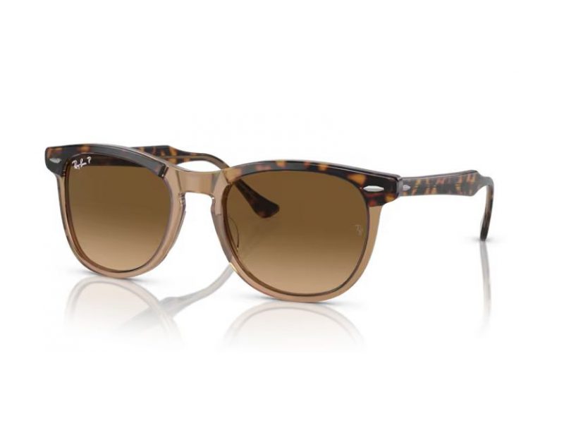 Ray-Ban Eagleeye Sunčane Naočale RB 2398 1292M2