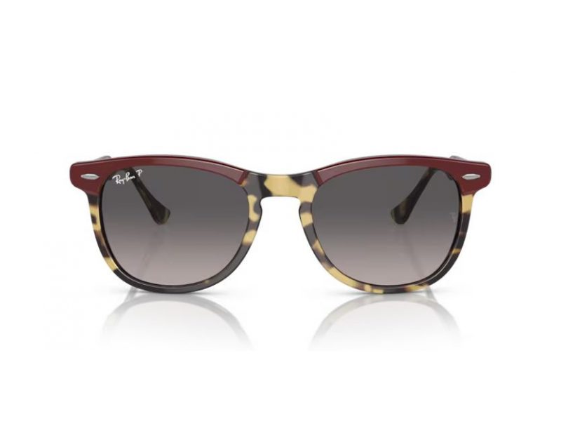 Ray-Ban Eagleeye Sunčane Naočale RB 2398 1377M3