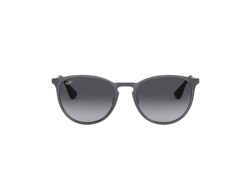 Ray-Ban Erika Metal Sunčane Naočale RB 3539 192/8G