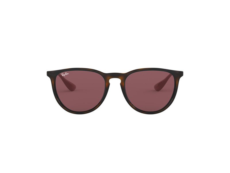 Ray-Ban Erika Sunčane Naočale RB 4171 6391/75