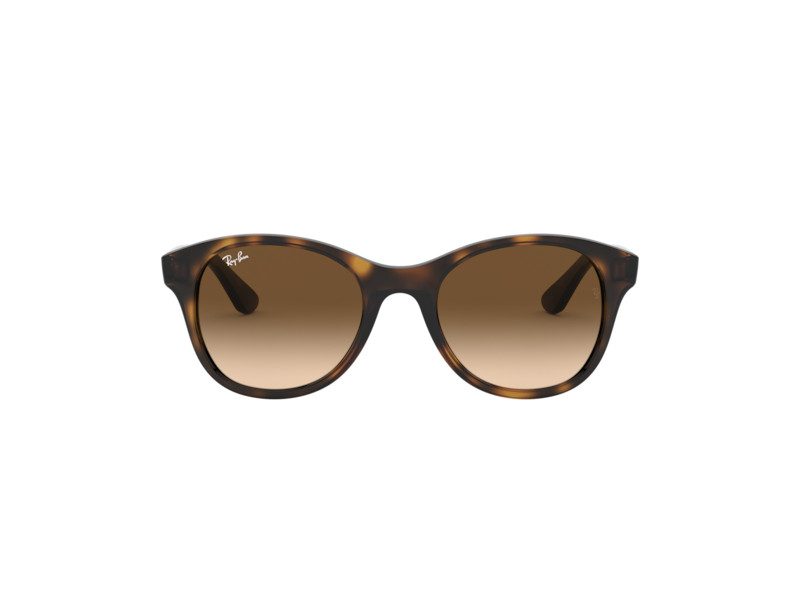 Ray-Ban Sunčane Naočale RB 4203 710/13