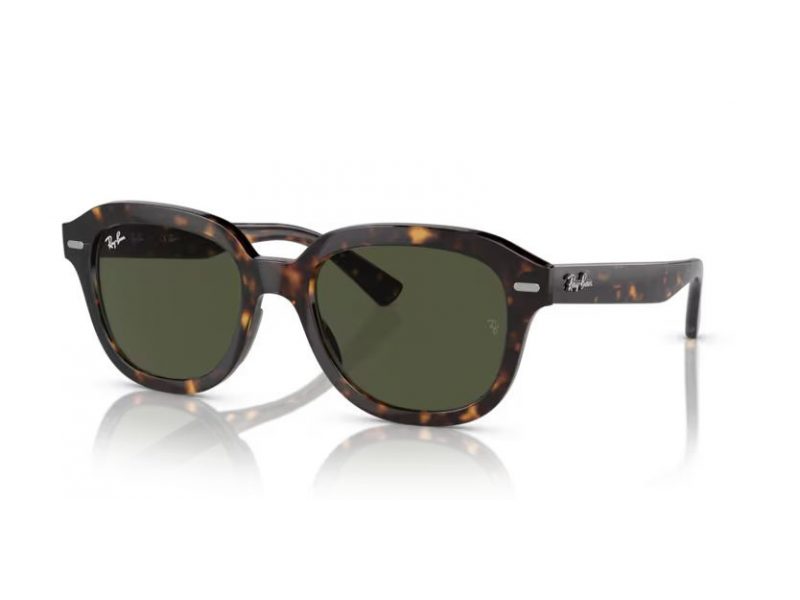 Ray-Ban Erik Sunčane Naočale RB 4398 902/31