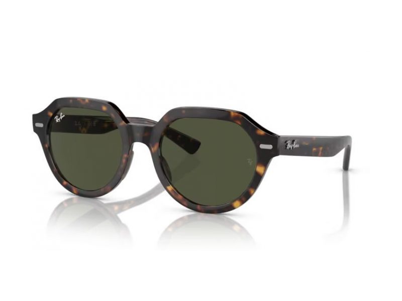 Ray-Ban Gina Sunčane Naočale RB 4399 902/31