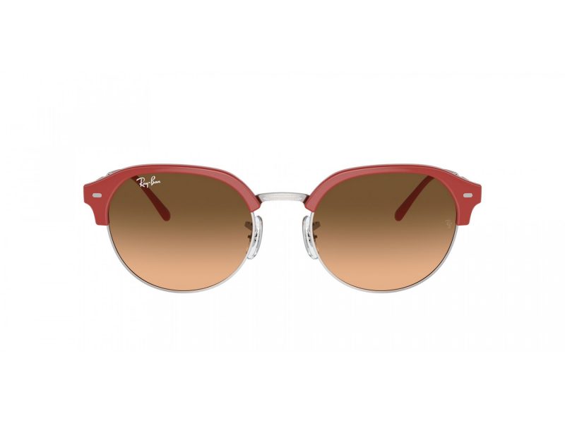 Ray-Ban Sunčane Naočale RB 4429 67223B