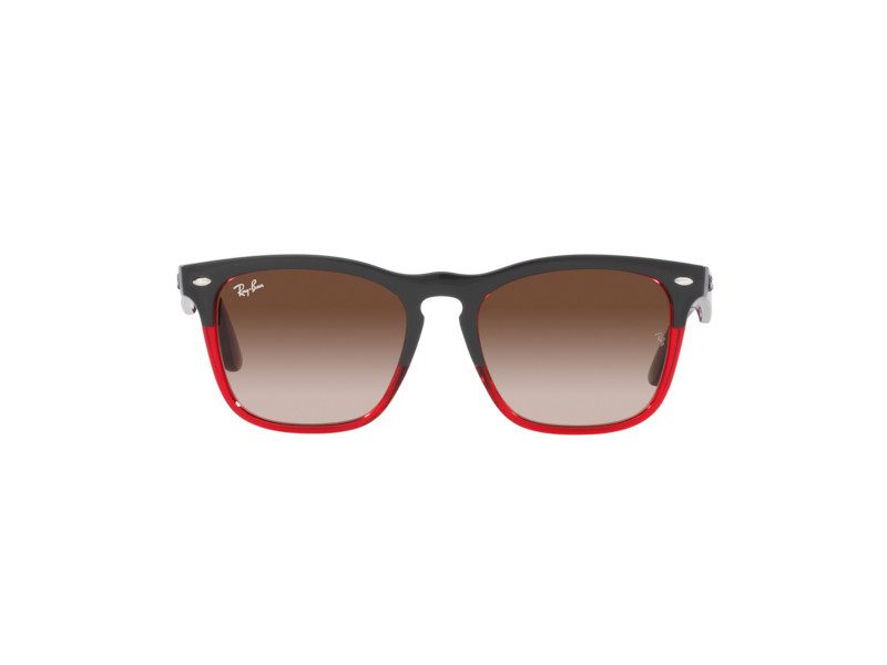 Ray-Ban Steve Sunčane Naočale RB 4487 6631/13