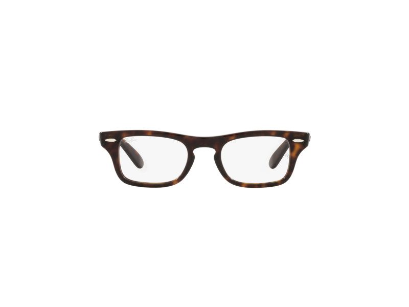 Ray-Ban Burbank Jr Naočale RY 9083V 3887