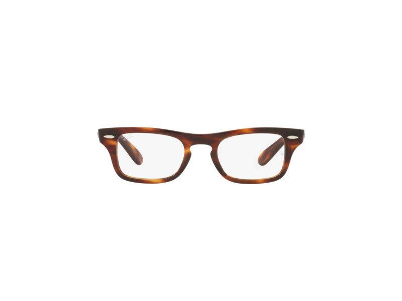 Ray-Ban Burbank Jr Naočale RY 9083V 3888